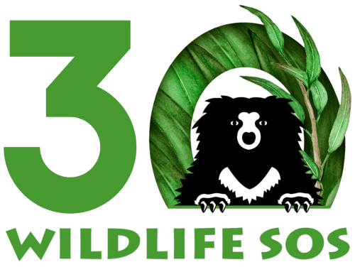 WILDLIFE SOS INDIA FOUNDATION logo